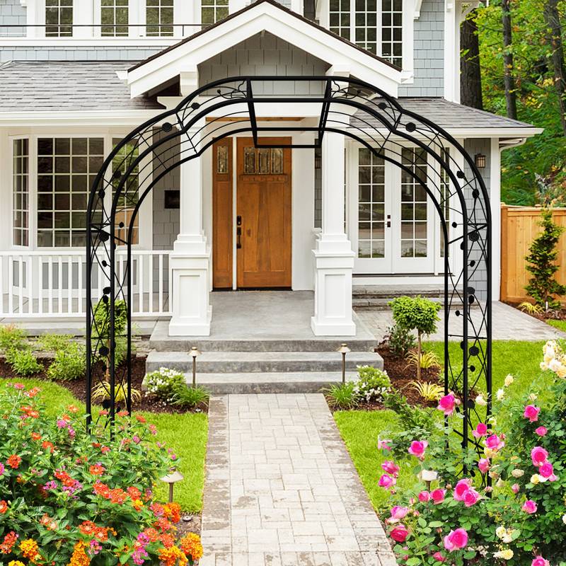 Elegant Climbing Arch for Garden Plants