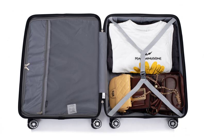 Silver Spin & Secure Luggage Set