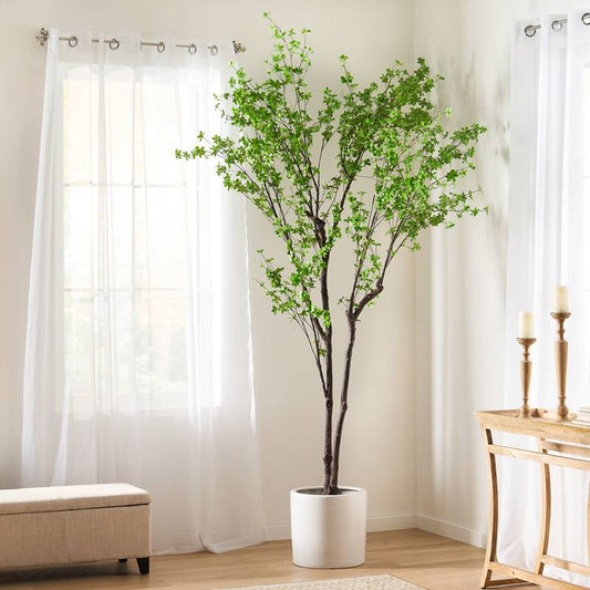 Vibrant Disc Leaf Tree