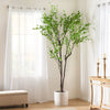Vibrant Disc Leaf Tree