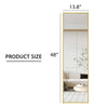 Sleek Full-Length Aluminum Mirror