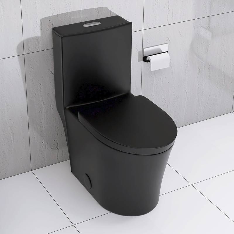 Sleek Black Eco-Friendly Toilet