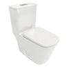 FlushSmart Toilet with SoftClose Seat