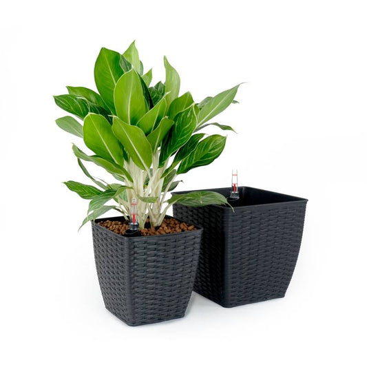 Eco-Woven Self-Watering Planters - Espresso Pair