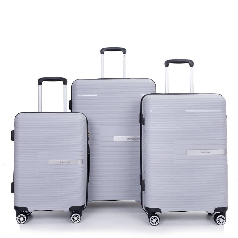 Silver Spin & Secure Luggage Set