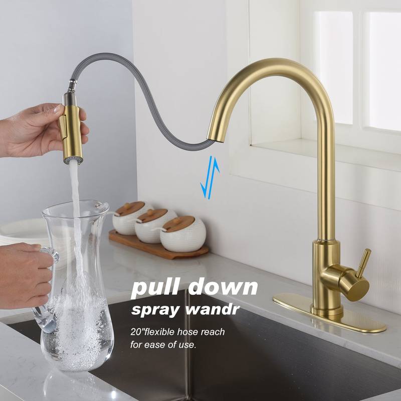 Spry Touch Kitchen Faucet