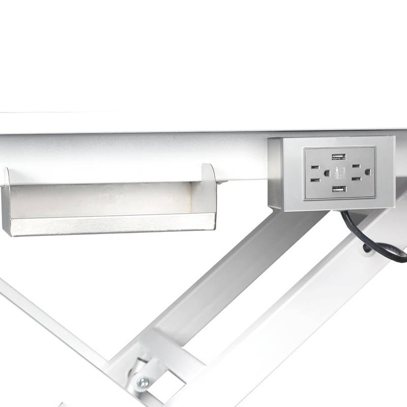 GroomMaster Electric Pet Table