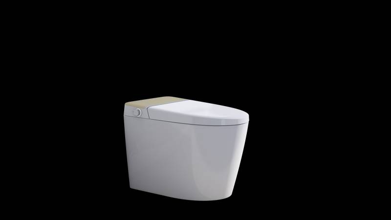 Ultimate Comfort Smart Toilet