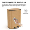 Soft Close Step Trash Can - Stainless Steel Elegance