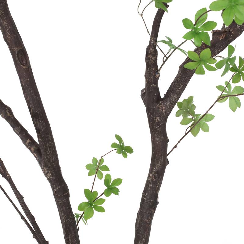 Vibrant Disc Leaf Tree