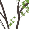 Vibrant Disc Leaf Tree