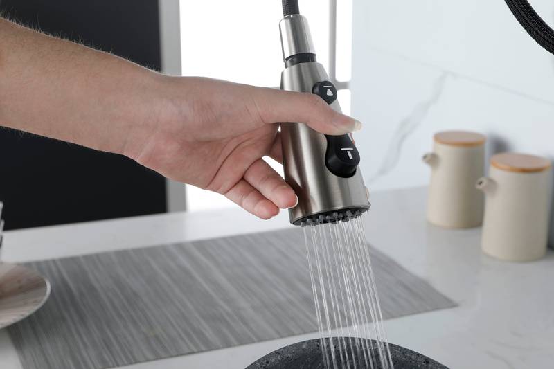 Sleek Pull-Down Kitchen Faucet