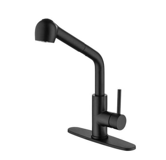 Sleek Matte Black Pull-Down Kitchen Faucet