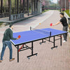 Portable Fun: Mid-Size Table Tennis Set with Net & Paddles