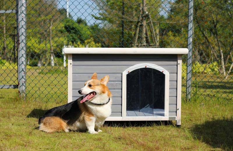 Cozy Outdoor Dog House with Waterproof Roof