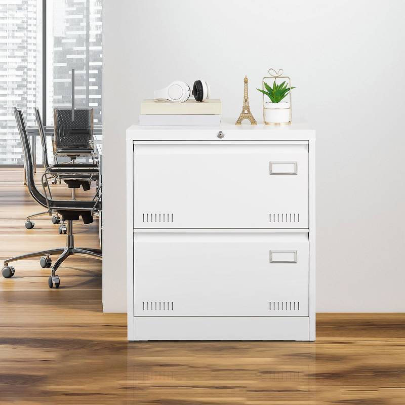 Secure Sleek Filing Cabinet - Stylish 2-Drawer Organizer