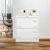 Secure Sleek Filing Cabinet - Stylish 2-Drawer Organizer