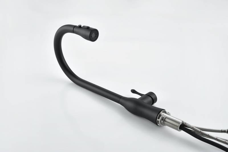 Sleek Matte Black Pull-Down Kitchen Faucet
