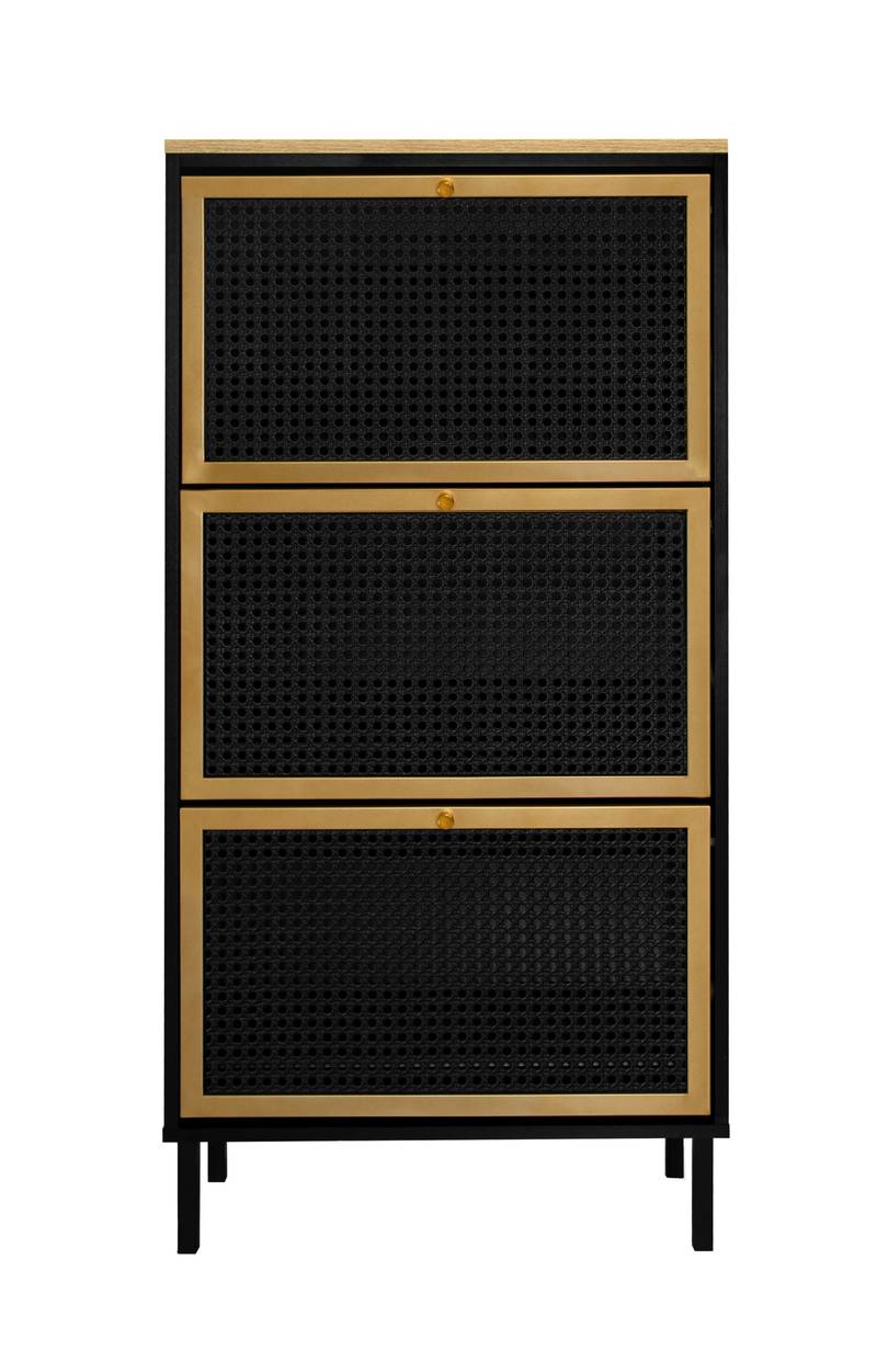 Chic Metal Shoe Rack for Entryway