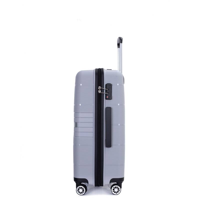 Silver Spin & Secure Luggage Set