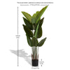 Lush Greenery Duo - Perfect for Any Space!