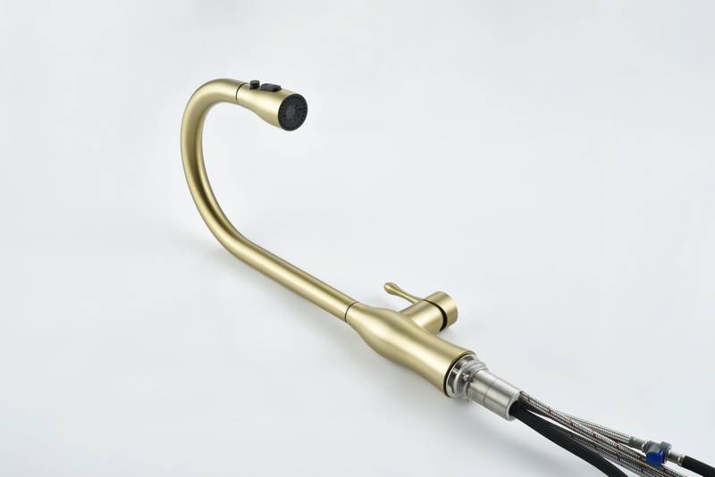 Gold Pull-Down Kitchen Faucet