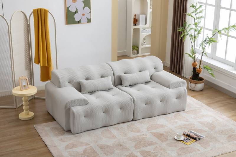 Cozy Modern Love Seat Sofa