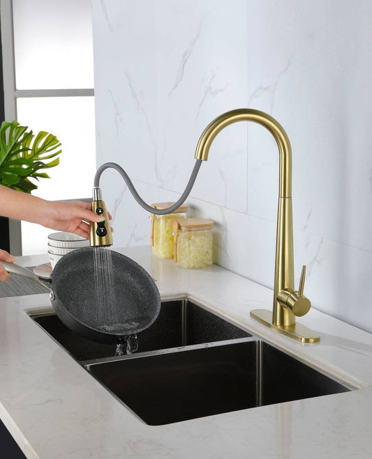 Sleek Pull-Down Kitchen Faucet