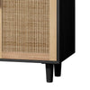 Chic Rattan Storage Cabinet