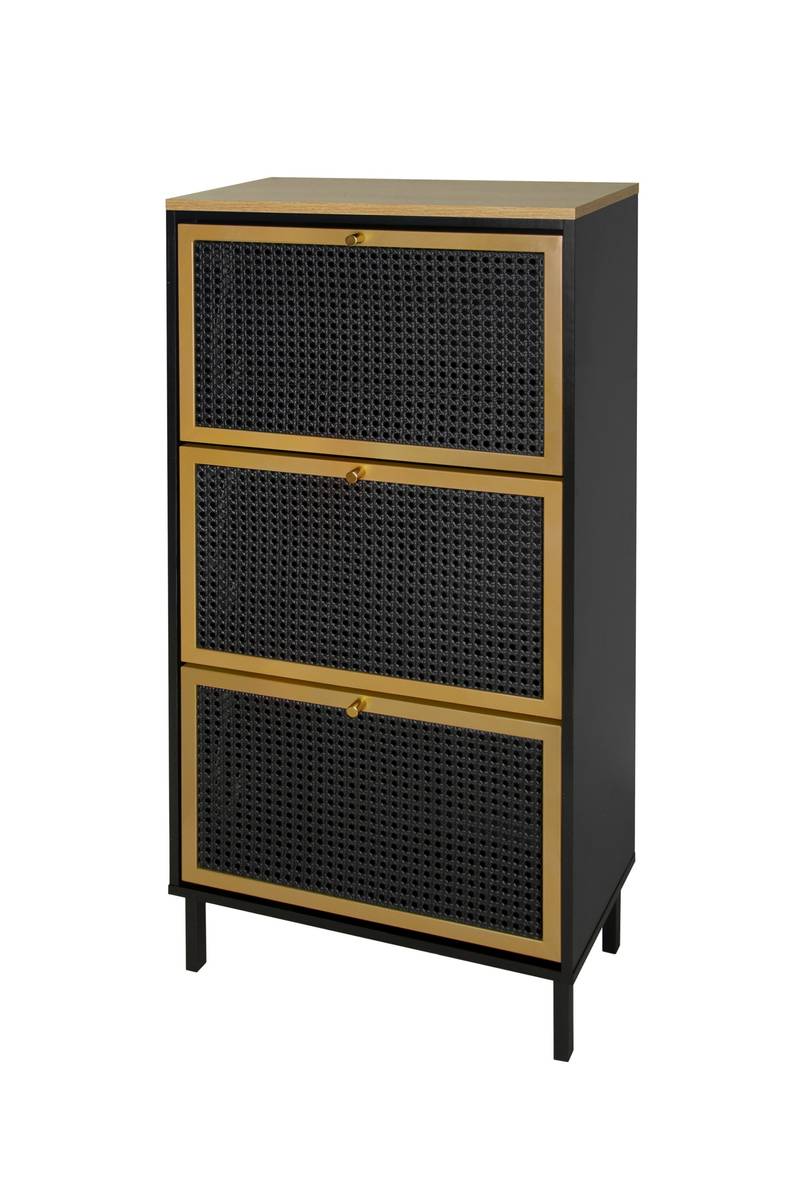 Chic Metal Shoe Rack for Entryway
