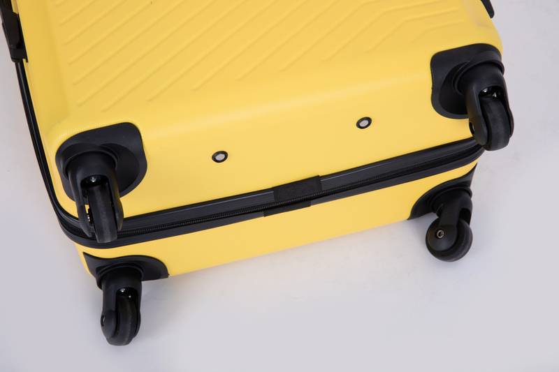 Sunny Spinner Suitcase Set
