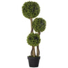 Lush Boxwood Topiary - Chic Indoor & Outdoor Greenery