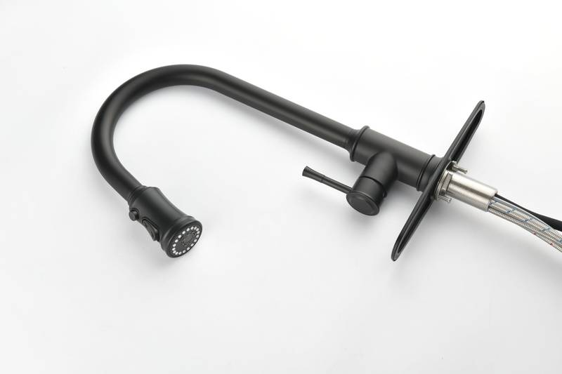 Sleek Pull-Down Kitchen Faucet