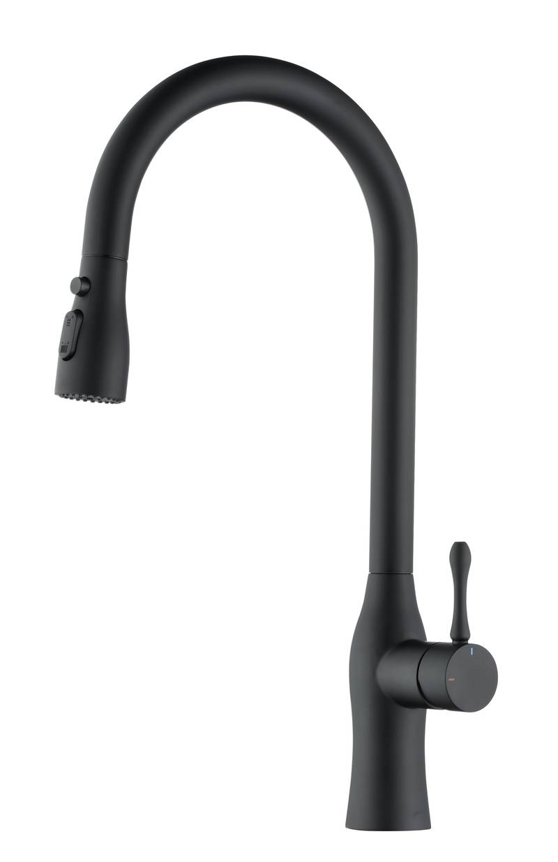 Sleek Matte Black Pull-Down Kitchen Faucet