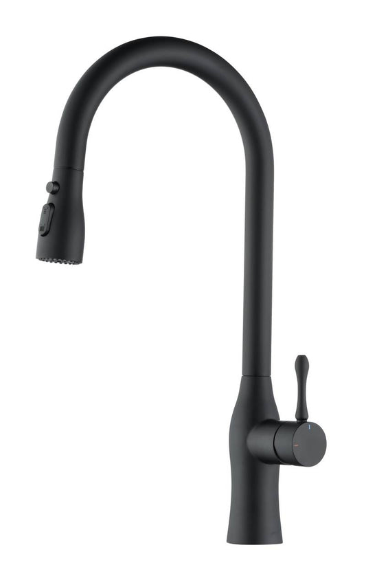 Sleek Matte Black Pull-Down Kitchen Faucet