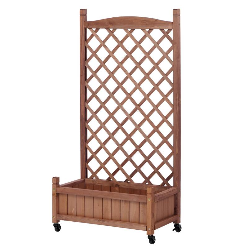 Garden Oasis Duo: Raised Planter with Climbing Trellis