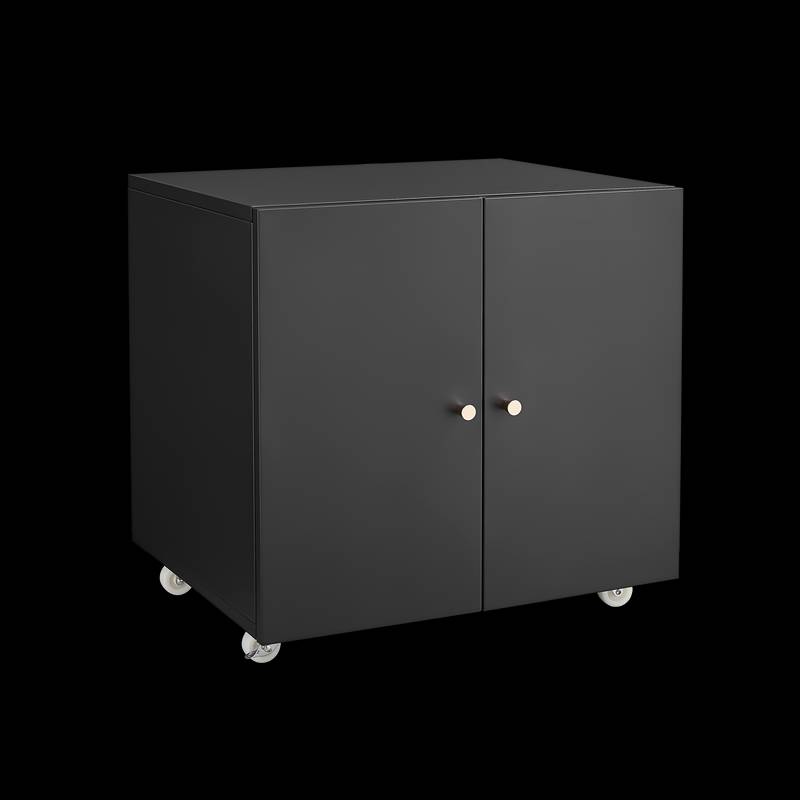 Rolling Printer Stand & File Cabinet
