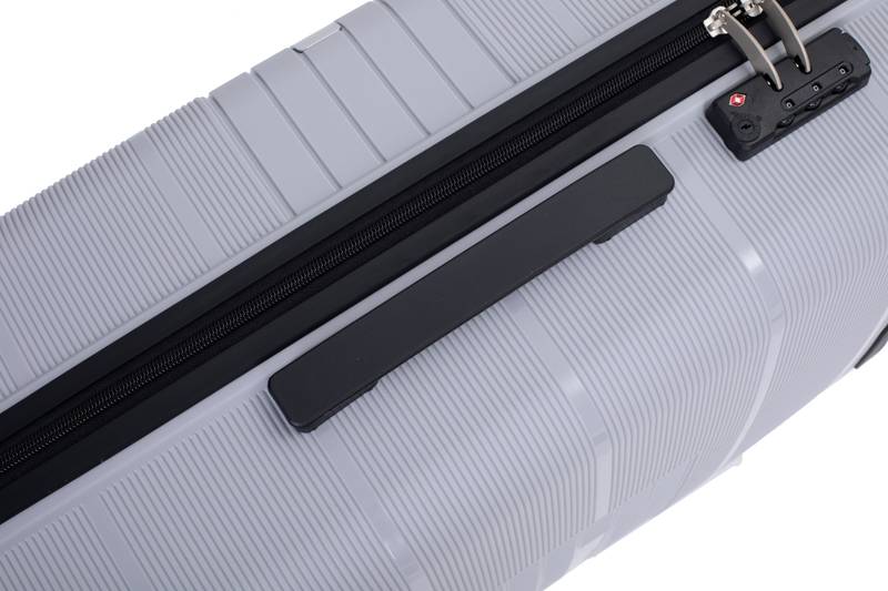Silver Spin & Secure Luggage Set
