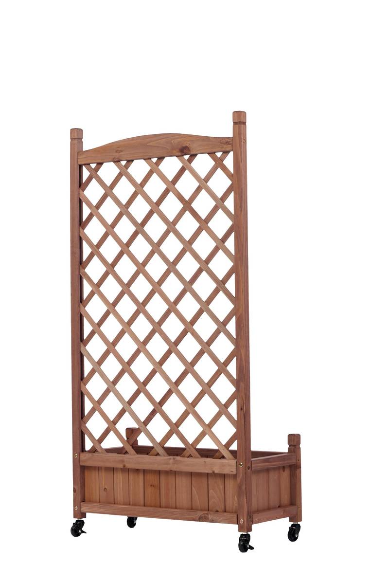Garden Oasis Duo: Raised Planter with Climbing Trellis