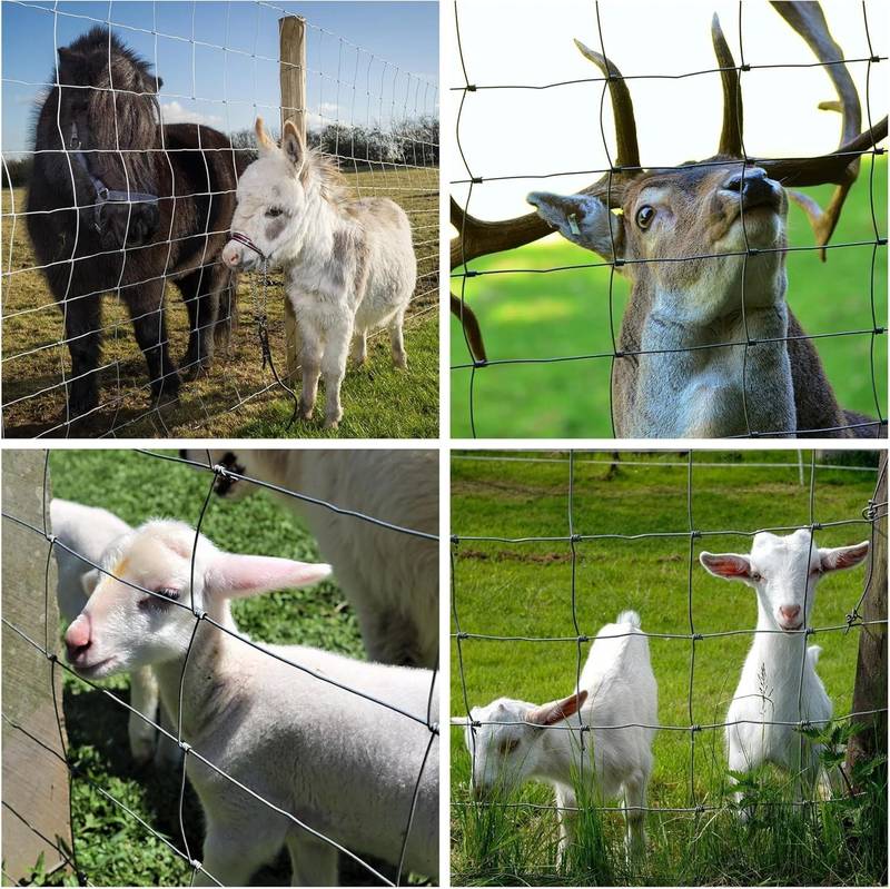 Ultimate Livestock Fence - Heavy-Duty Galvanized Protection for Your Farm
