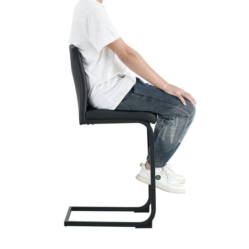 Sleek Black Barstool Duo