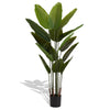 Traveler's Banana Leaf Décor Set