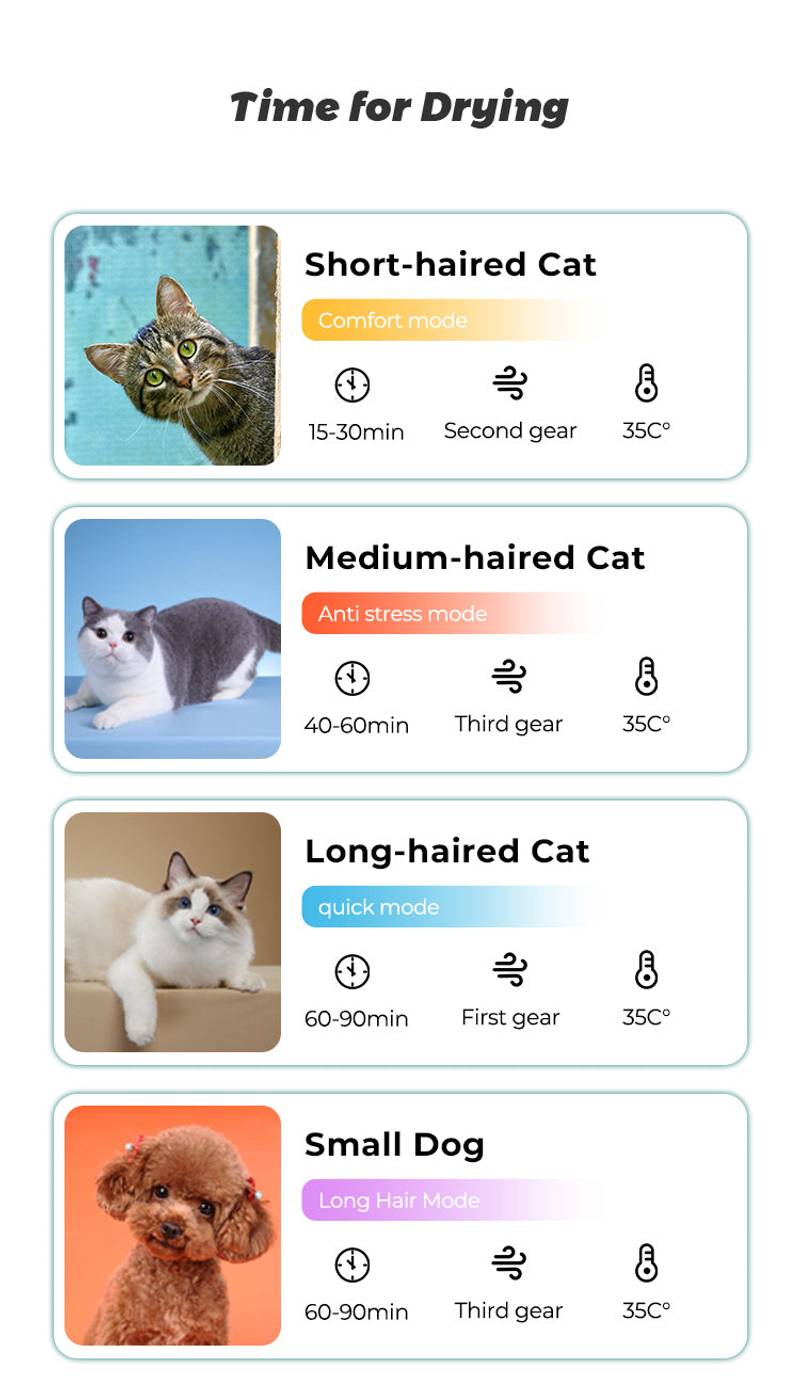 Paw Dry Lounge