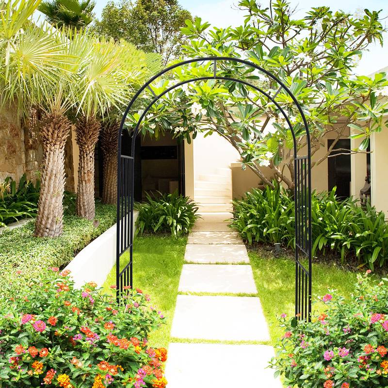 Elegant Climbing Rose Arch