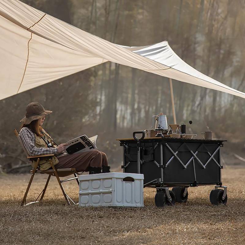 Cozy Coast Folding Wagon