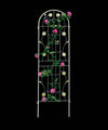 Charming Garden Trellis Set for Climbing Plants