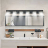 Sleek Black LED Bathroom Vanity Light