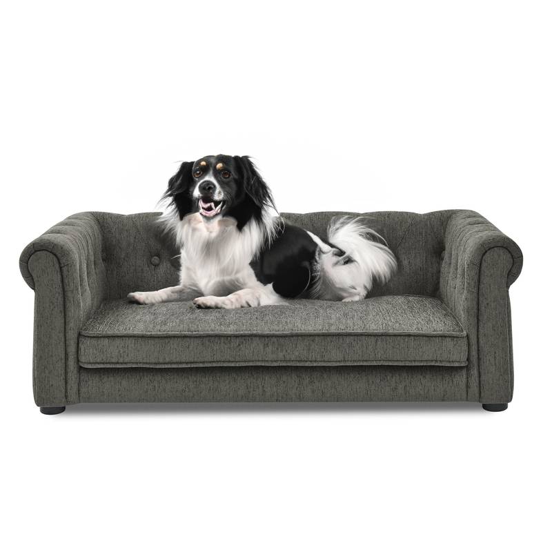 Chic Elevated Dog Couch - Stylish Comfort for Small and Medium Pups