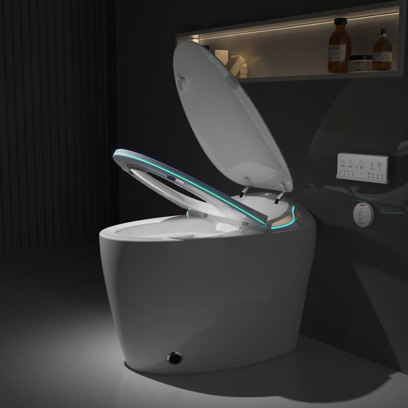 Smart Bidet Toilet: Luxury Comfort & High-Tech Features