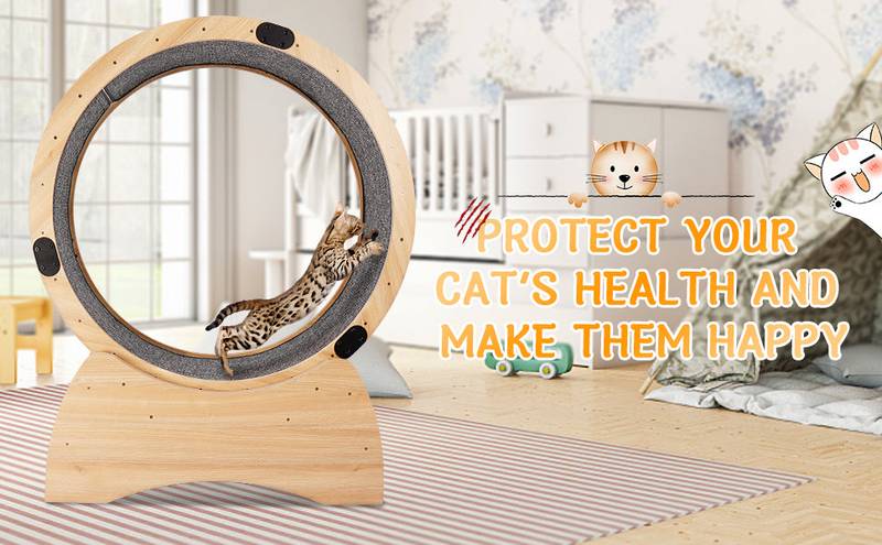 Kitty Fitness Wheel: Fun Treadmill for Active Cats!